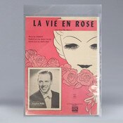 POLYESTER (Mylar) Sleeve 2mil with